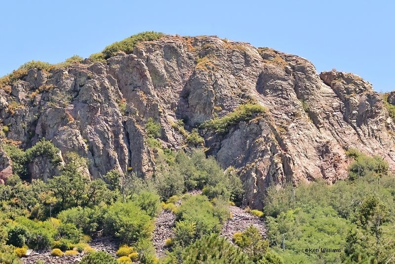 Mountain, Barfoot Park, AZ. 9-5-2024_9828zD.jpg