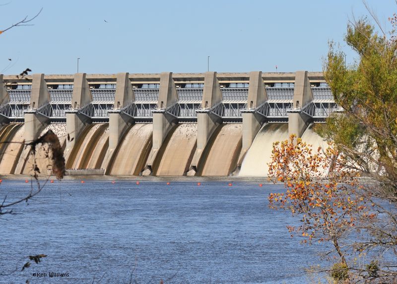 Fort Gibson Dam, OK, 11-15-2024_4259zDL.jpg