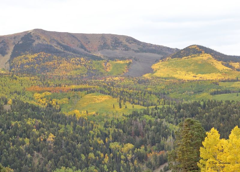Aspens South Fork, CO, 9-27-2025_008900az.jpg