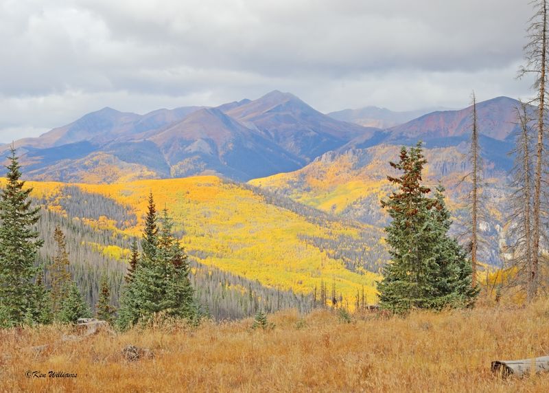 Aspens, N. of Creede, Co, 9-28-2025_0013az.jpg