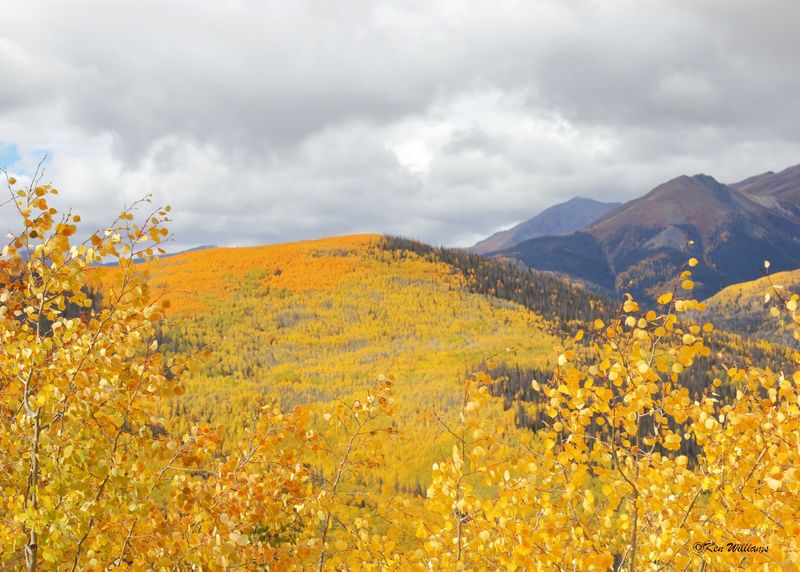Aspens, N. of Creede, Co, 9-28-2025_0015az.jpg