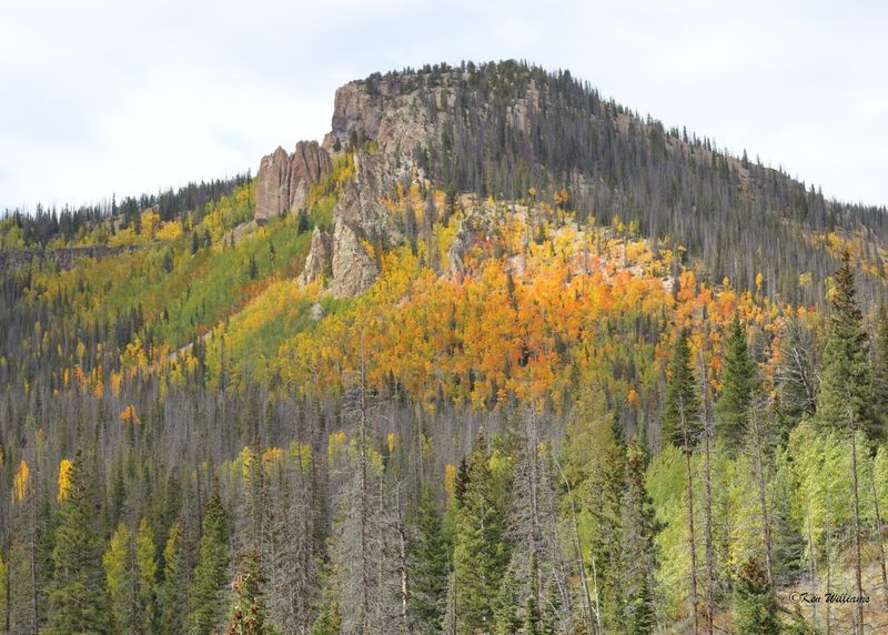 Aspens, South Fork, CO, 9-27-2025_008893az.jpg