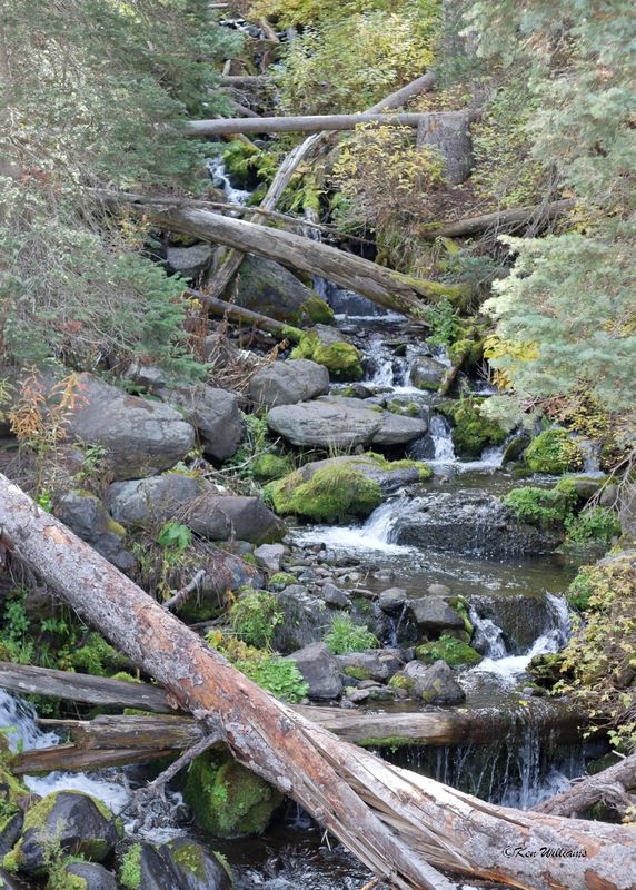 Creek, Fork, CO, 9-27-2025_008870az.jpg