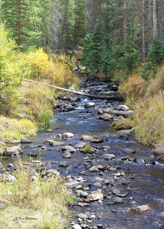 Creek, South Fork, CO, 9-27-2025_008883az.jpg