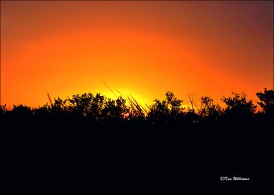 Sunset, S. Padre Island, TX, 1-12-2024_1940Dz.jpg