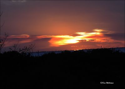 Sunset, S. Padre Island, TX, 1-12-202_1958Dz.jpg
