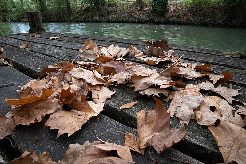 Le canal du midi