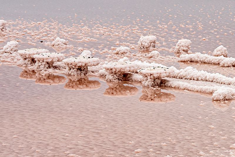 Salins de Gruissan