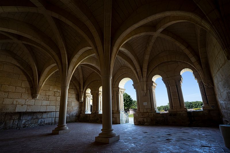  Abbaye de Trizay