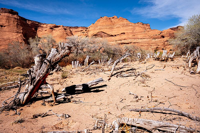Canyon de Chelly