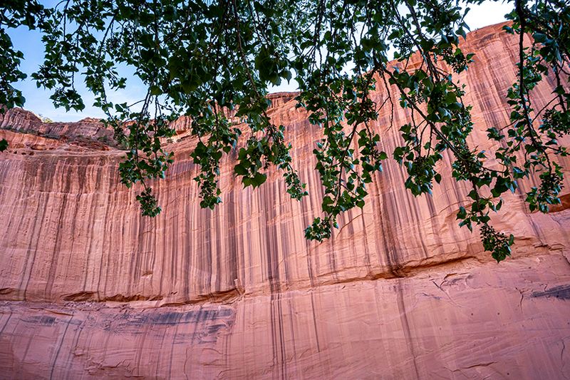Canyon de Chelly