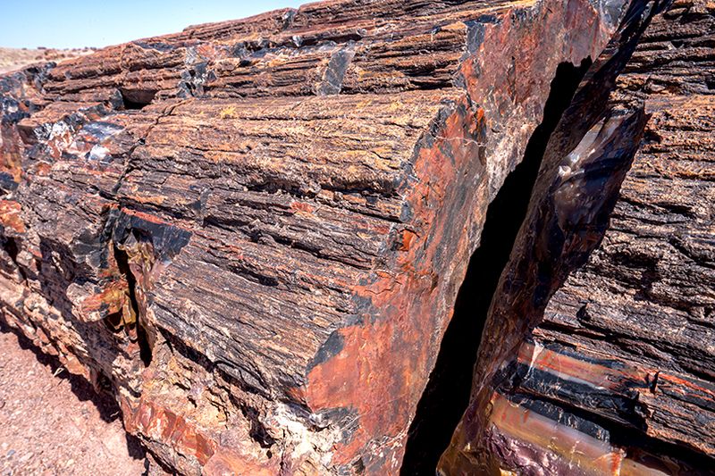 Painted desert and petrified forest