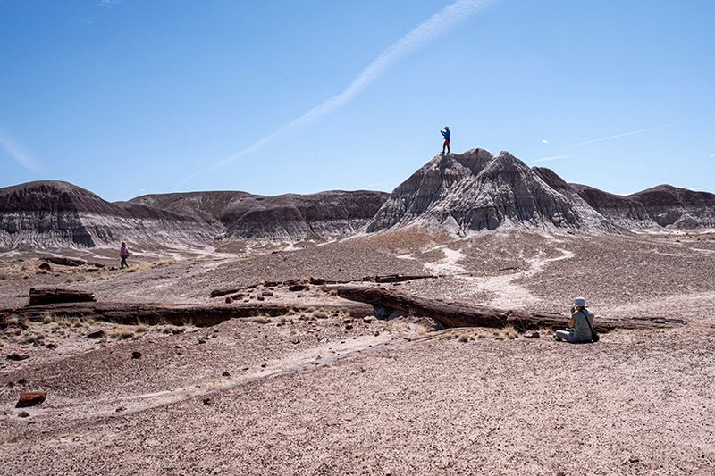 Painted desert and petrified forest
