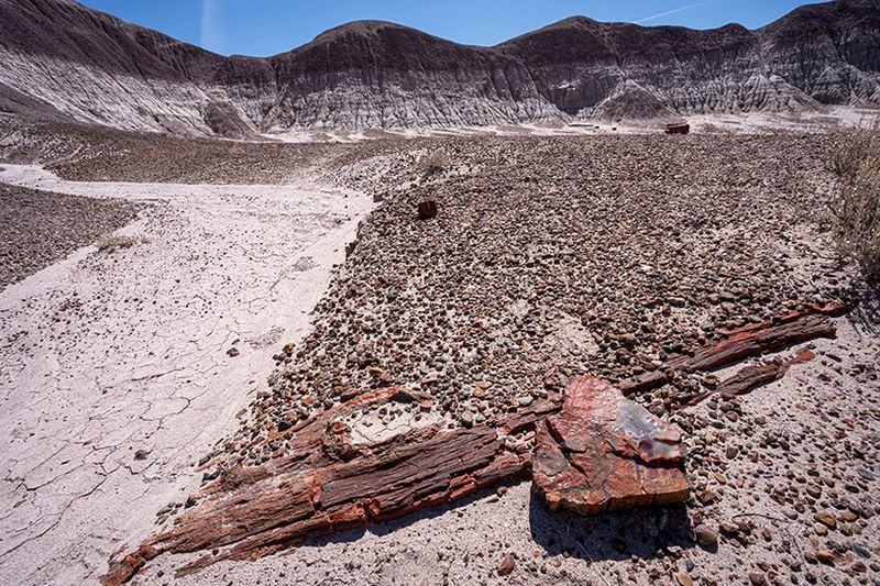 Painted desert and petrified forest