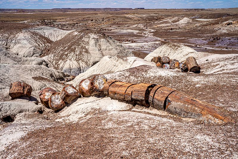 Painted desert and petrified forest