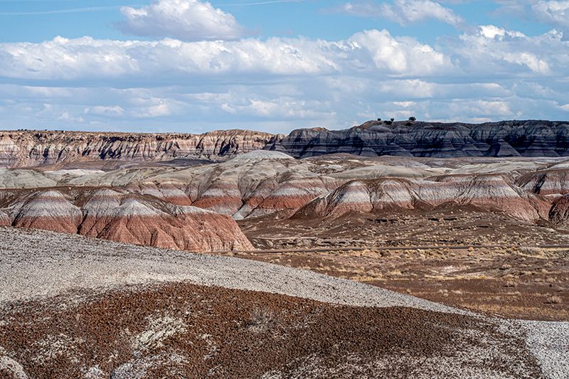Painted desert and petrified forest