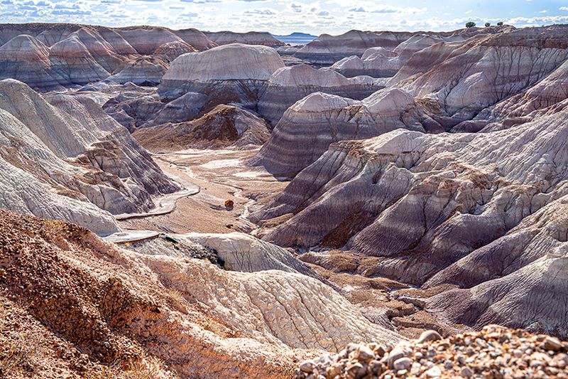 Painted desert and petrified forest