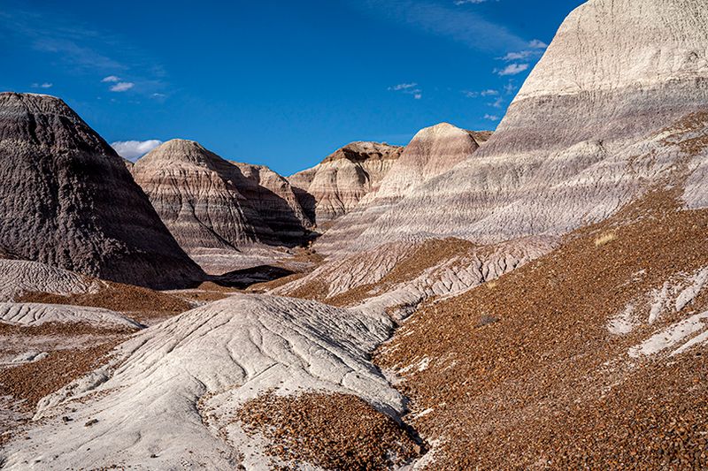 Painted desert and petrified forest