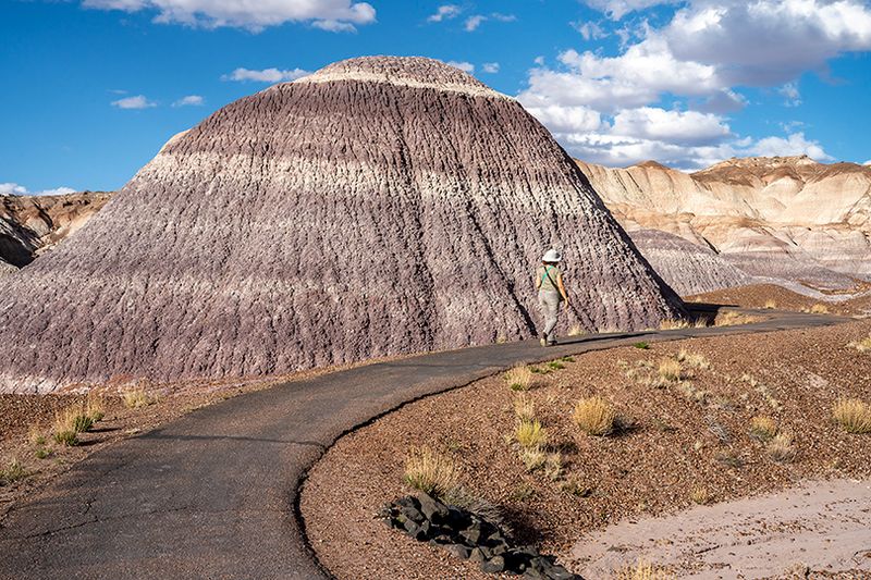 Painted desert and petrified forest