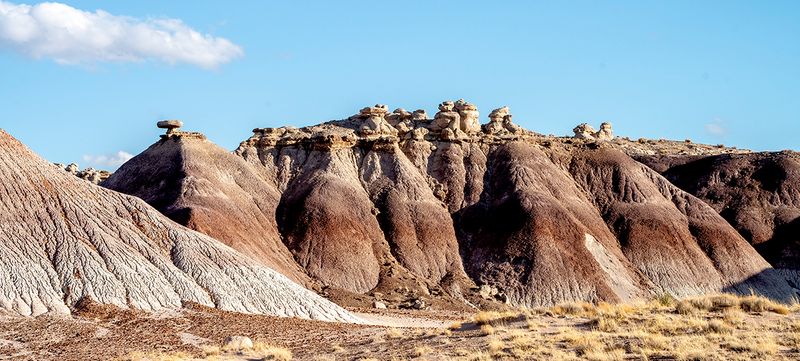 Painted desert and petrified forest