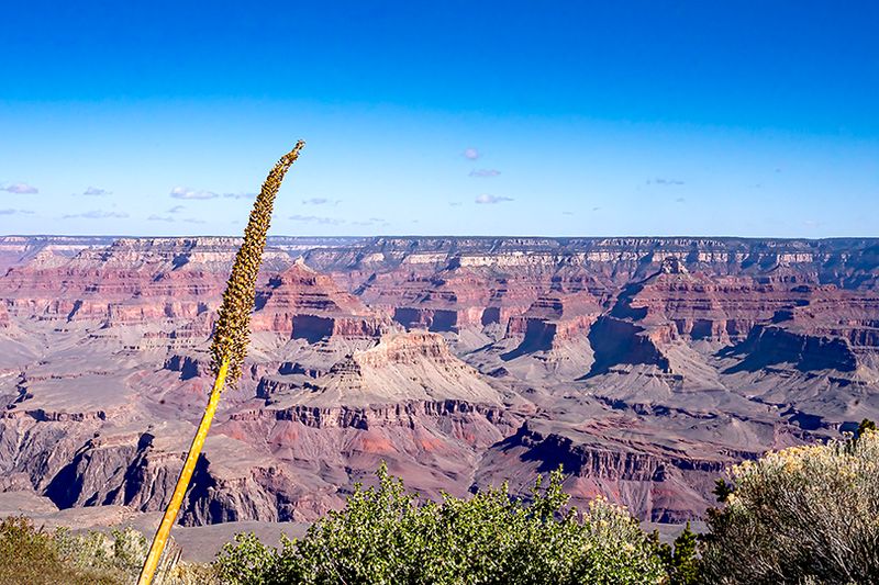 The grand canyon