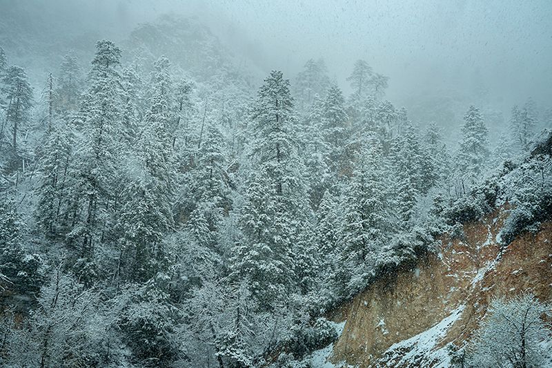 Et vers le Sud sous la neige
