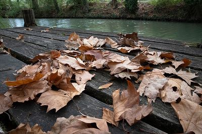 Le canal du midi