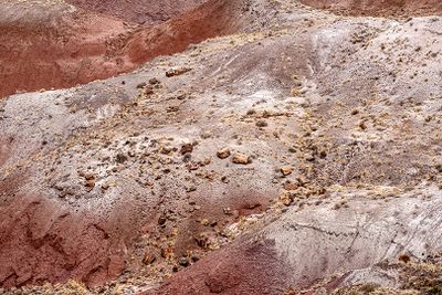 Painted desert and petrified forest