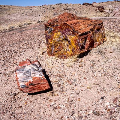 Painted desert and petrified forest