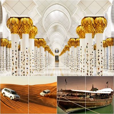 Desert Safari Abu Dhabi 