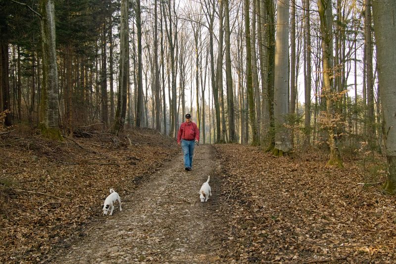 2007 with his Jack Russell terriers, near Zurich
