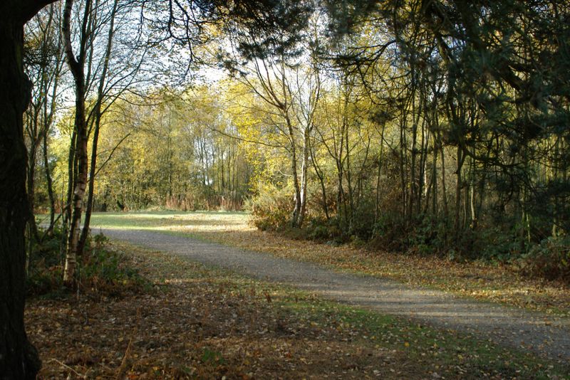 Lickey-2003-istD-18.jpg