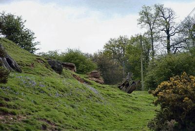 Tardebigge1