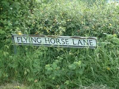 Flying-Horse-Lane-Feckenham.jpg