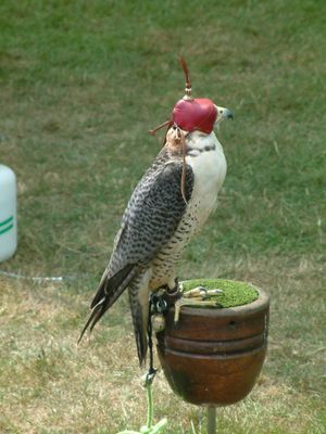 Ragley-game-fair-2003-02.jpg