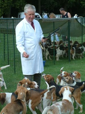 Ragley-game-fair-2003-07.jpg