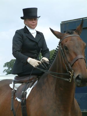 Ragley-game-fair-2003-27.jpg