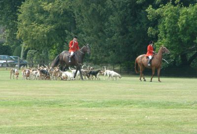 Ragley-game-fair-2003-31.jpg