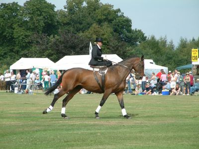 Ragley-game-fair-2003-34.jpg
