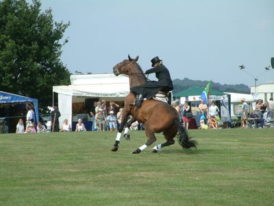 Ragley-game-fair-2003-35.jpg
