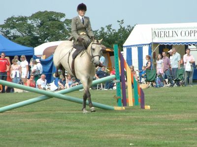 Ragley-game-fair-2003-36.jpg