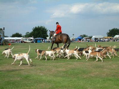 Ragley-game-fair-2003-38.jpg
