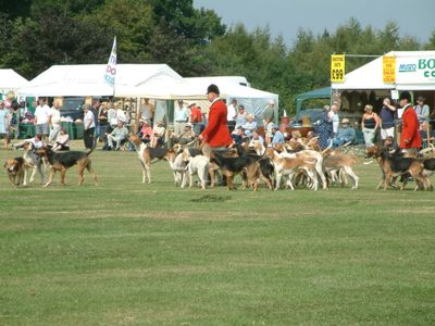 Ragley-game-fair-2003-44.jpg