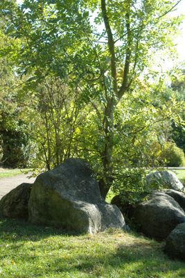 g13/99/209899/3/174960769.1e141965.JPEG