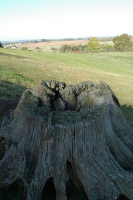 Tardebigge-istD-04.jpg