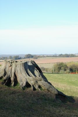 Tardebigge-istD-24.jpg
