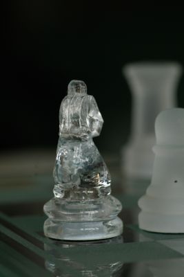 Macro-chess-istD-01.jpg