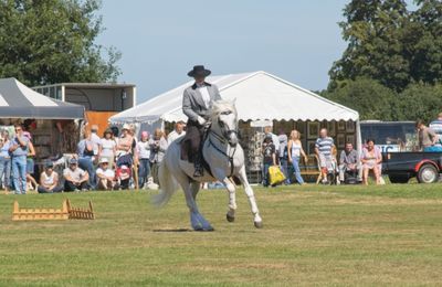 IMGP5420.jpg