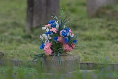 Hanbury Church Yard