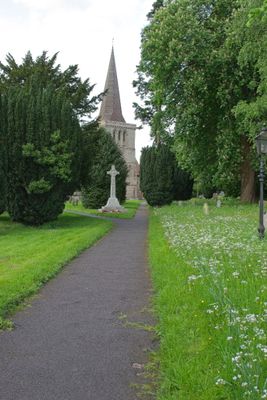 IMG_1815.jpg